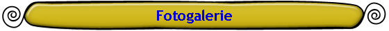 Fotogalerie